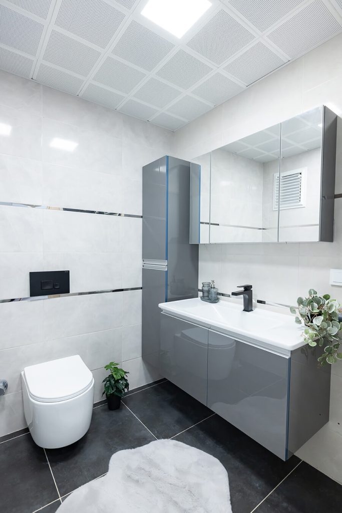 1+1 Daire (55m2) - Banyo